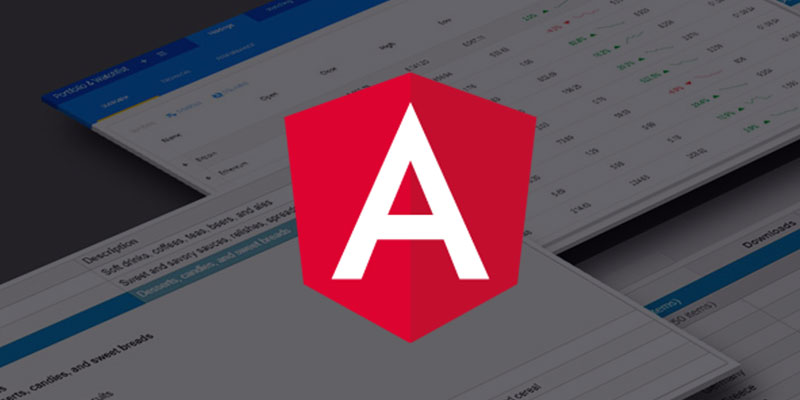 Build a Customizable Angular Datagrid in Minutes
