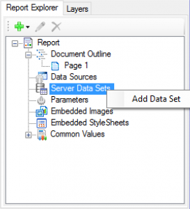 Server Data Sets in Report Explorer