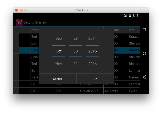 Custom Date Picker in Xuni FlexGrid for Android