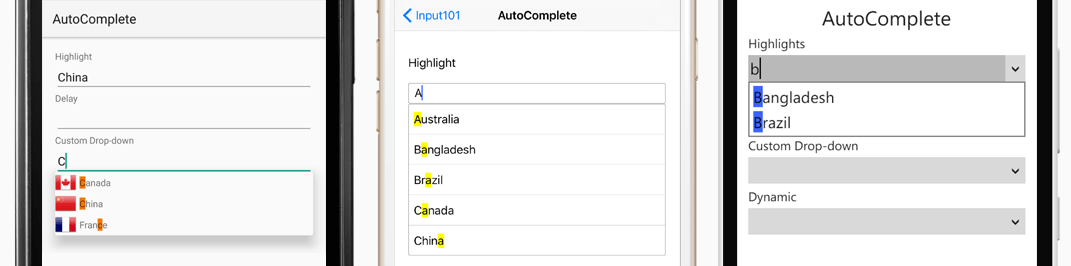 Input_AutoComplete_cropped