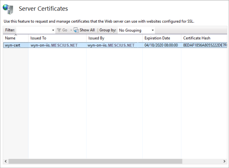server certificate dialog
