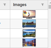 Image Column in JavaScript DataGrid