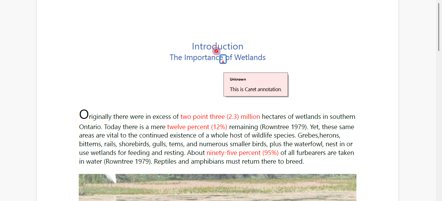 Caret-Annotation.png