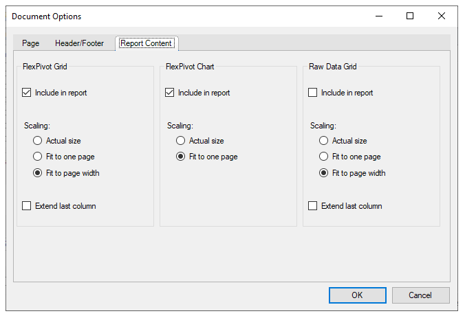C1WInForms Document Options Report Content