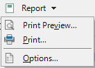 C1WInForms Report Menu