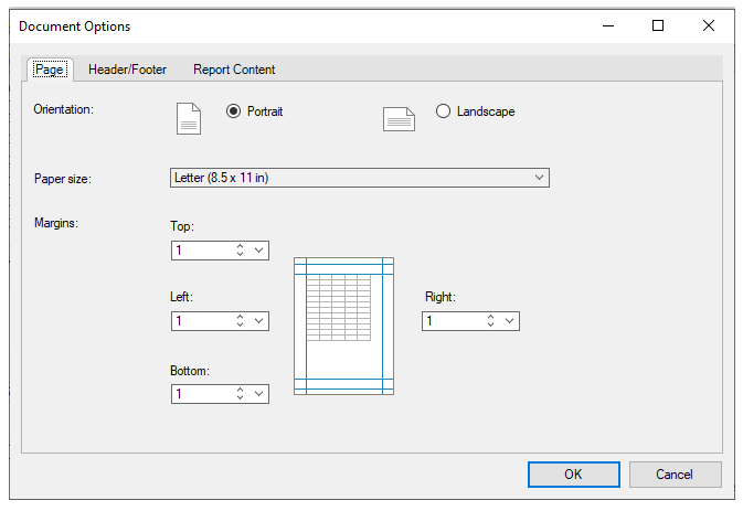 C1WInForms Document Options Page