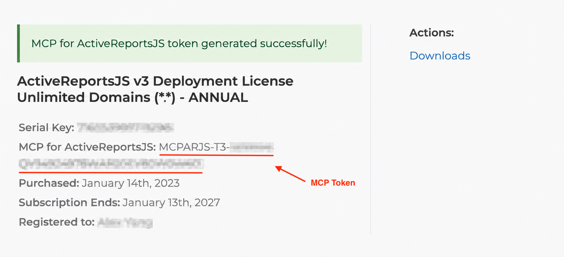 MCP Token