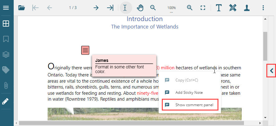 PDF Viewer displaying comments panel