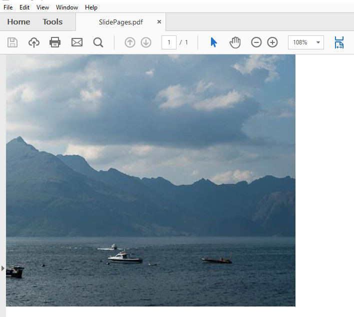PDF Images