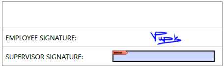 Pdf without a digital signature