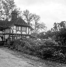 Image of the house after exporting blue color channel