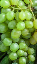 Cropped image of fruits and vegetables