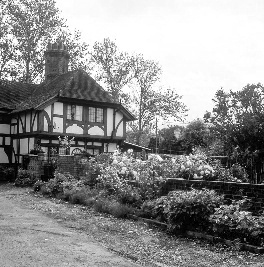 Image of the house after exporting green color channel