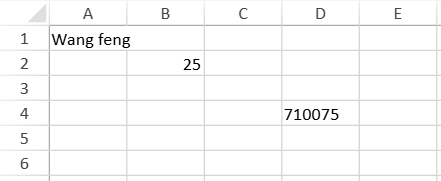 SpreadJS worksheet displaying Wang feng in cell A1, age 25 in B2, and postcode 710075 in D4 through cell-level binding paths.