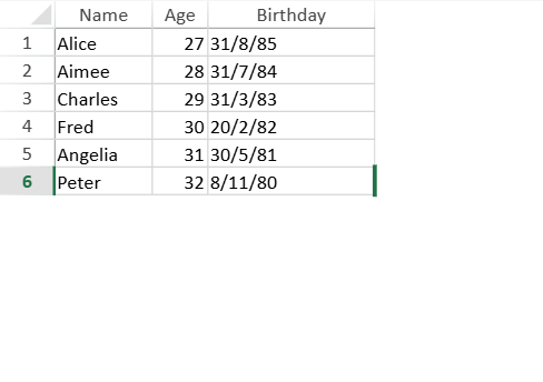 SpreadJS worksheet displays an array of person objects as generated rows and columns after calling the setDataSource method.