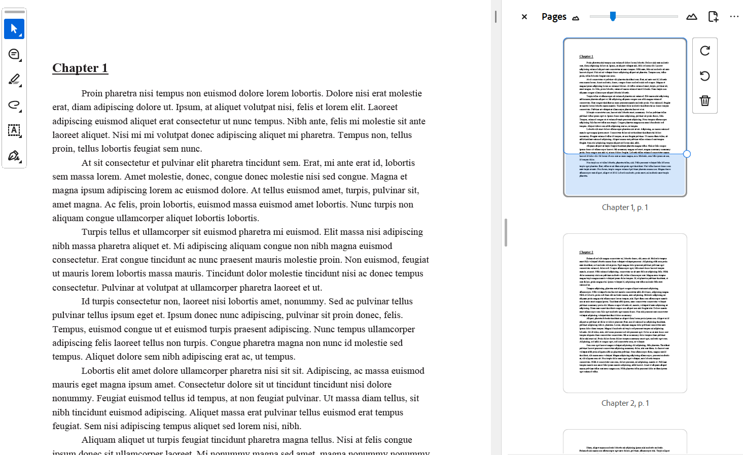DsPdfJS output of applying page labels to a document