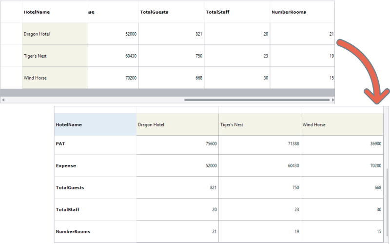 WinForms Transposed DataGrid