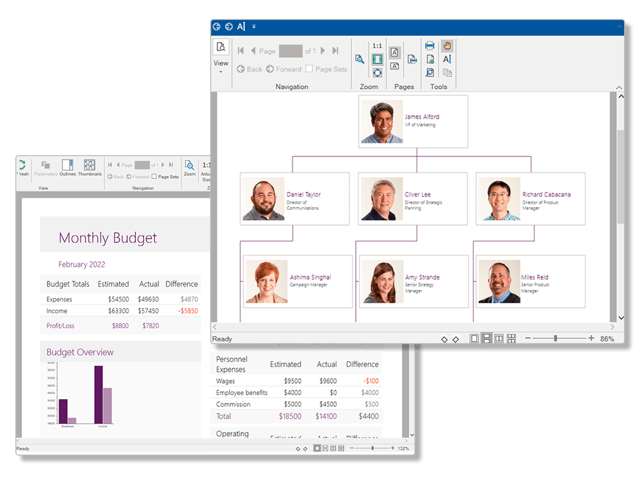 Flexible .NET Reporting Engine