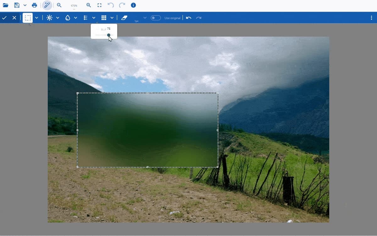 Apply Blur or Pixelate images - JavaScript Image Viewer/Editor