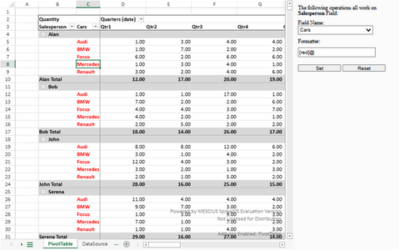 Format Pivot Table Fields