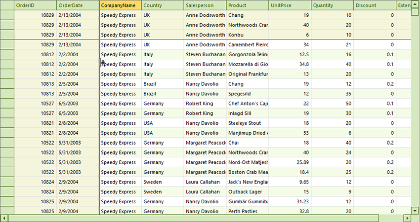 .NET DataGrid Column Freezing