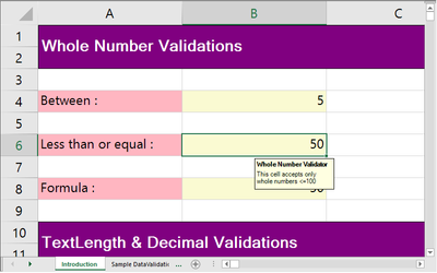 .NET Spreadsheet Data Validation Example