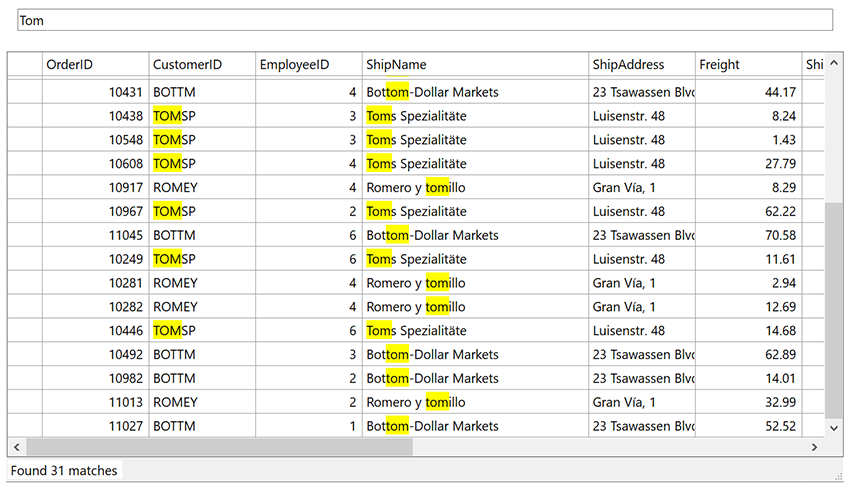.NET DataGrid Search