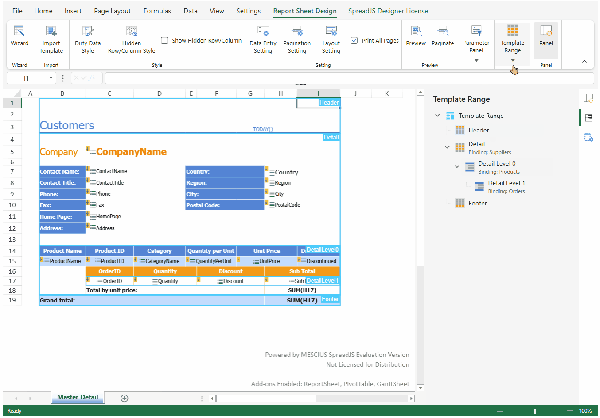 New Report Sheet Template Range Features for Enterprise Web Apps