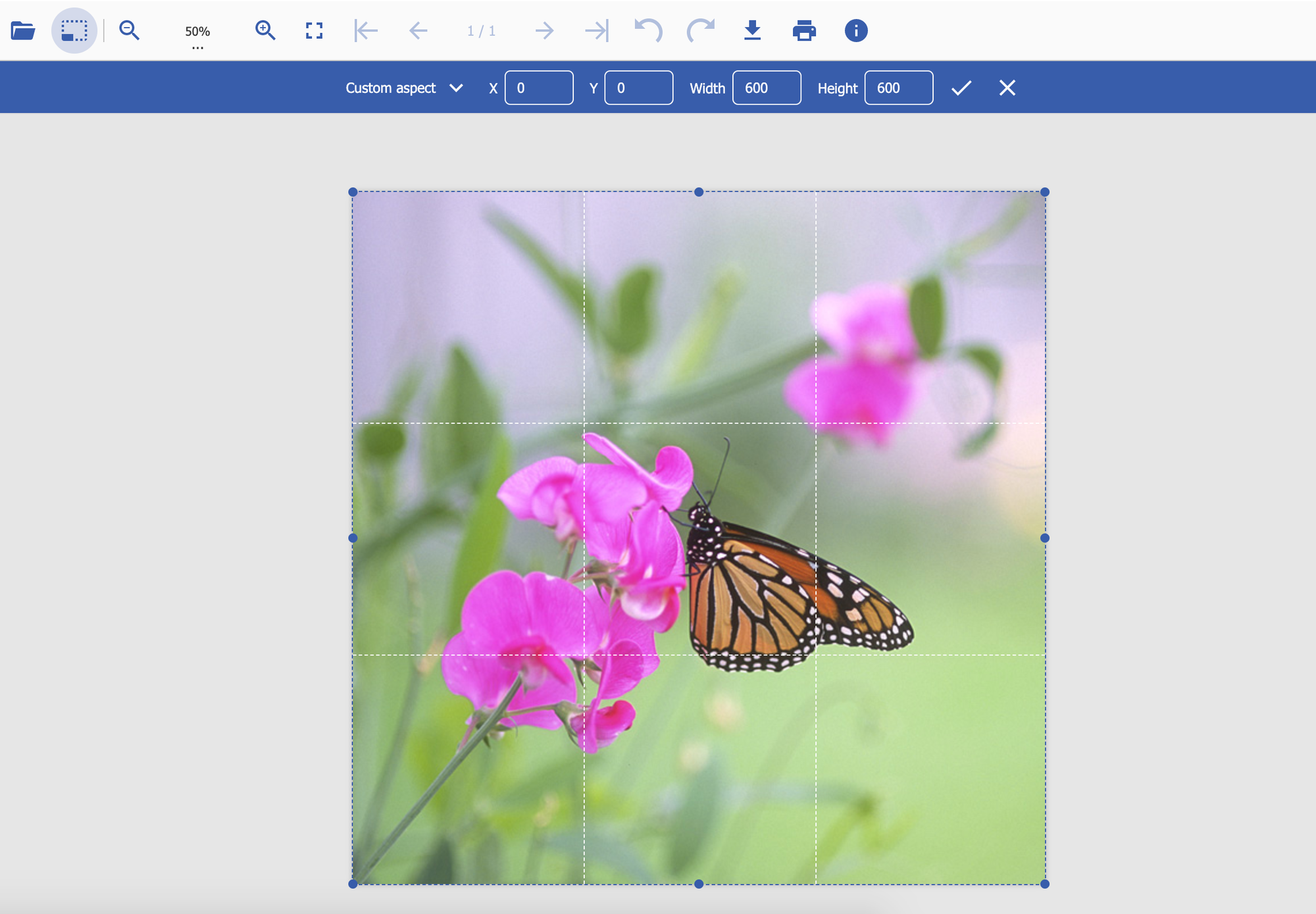 Update to the JavaScript Image Viewers Crop and Resize toolbars