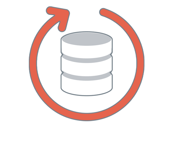 .NET DataGrid Data Virtualization