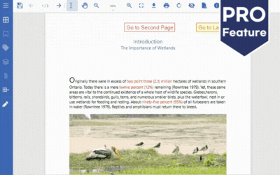Use Link Annotation to Navigate PDF Pages in a JS PDF Viewer Control