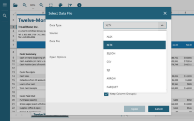 Open and View XLTX Files in JavaScript File Viewer Control