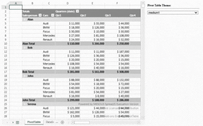 Apply a Pivot Table Theme in a Web Application