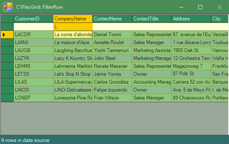 WinForms DataGrid Filter Row