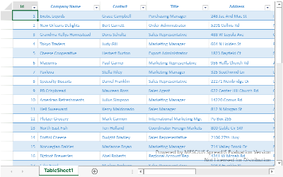 JavaScript data-bound table view with grid-like behavior