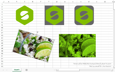 Picture Shape in Spreadsheets