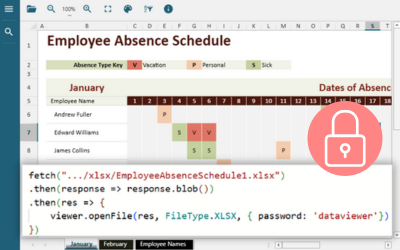 Securely open and view password-protected Excel (.xlsx) files using a JavaScript data viewer control | DsDataViewer