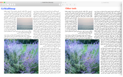 Render high-performance text images