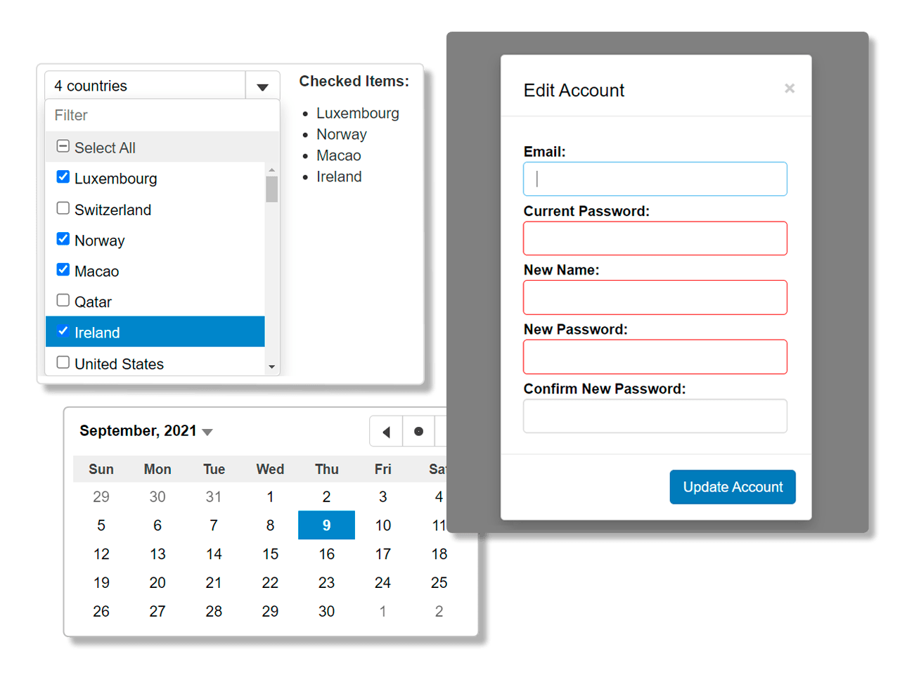 JavaScript Input Controls