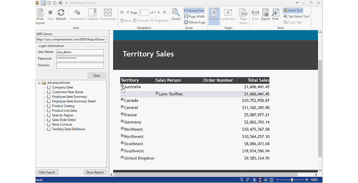 SSRS Report Viewer