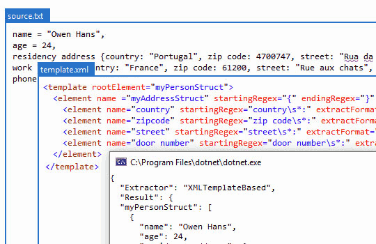 .NET Text Parser Template Extractor