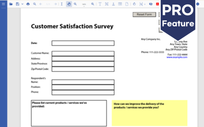 Add XFA PDF Form Support to Enterprise Web Applications