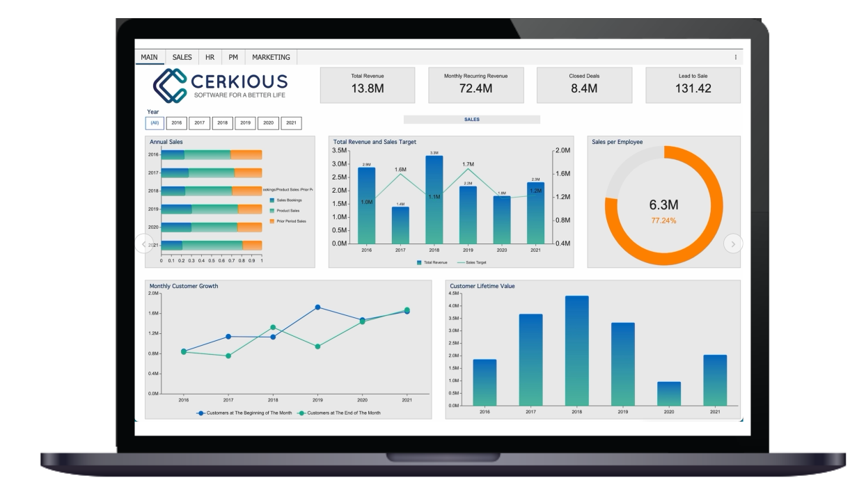 Business Intelligence CEO Dashboard