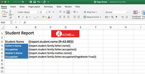 Excel XLSX template, programmatically insert a page break dynamically for the XLSX report