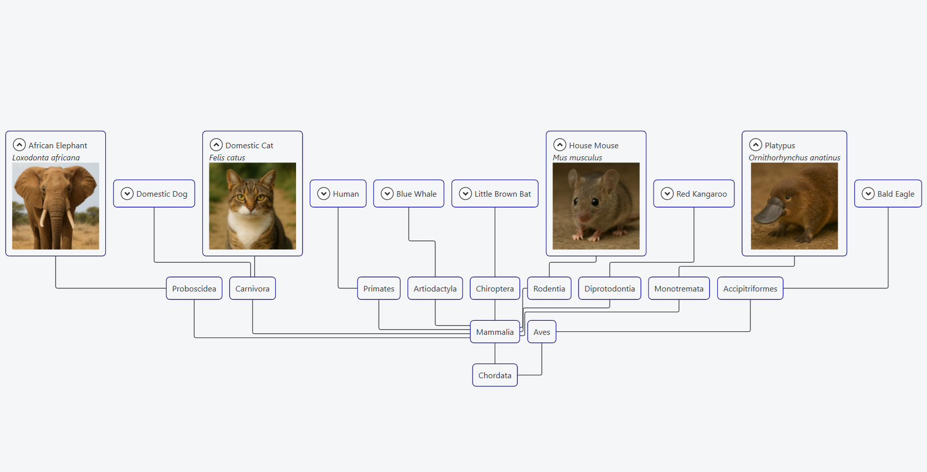 C# .NET Interactive Diagram