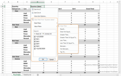 Pivot Table Filter Options