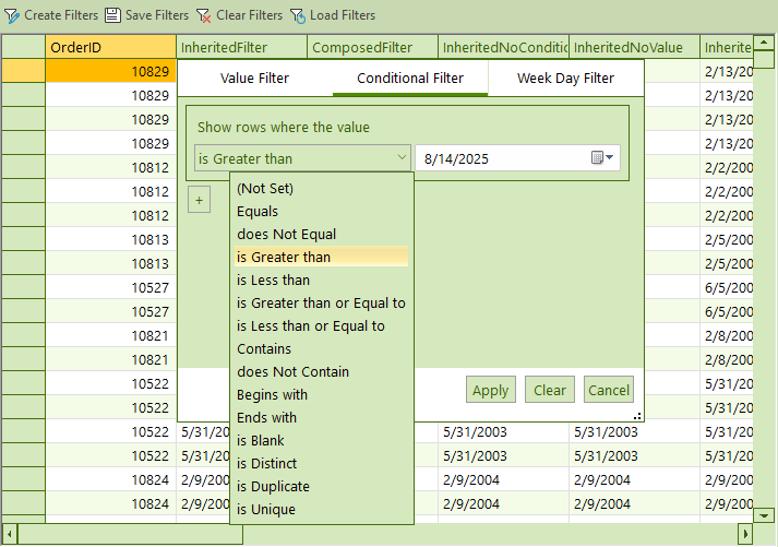 .NET DataGrid Filtering