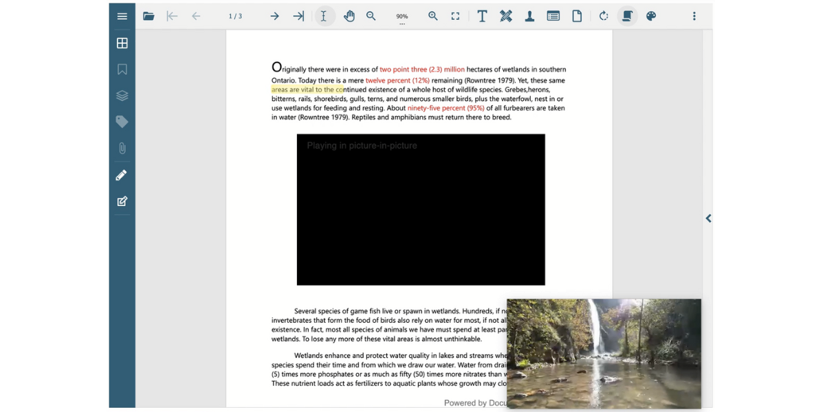 Users can set PDF rich media presentation style using JavaScript PDF Viewer Control