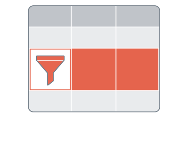 .NET DataGrid Filter Row