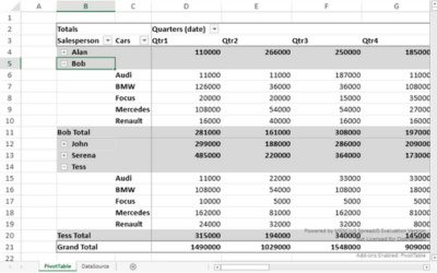 Group and Collapse Pivot Table Fields